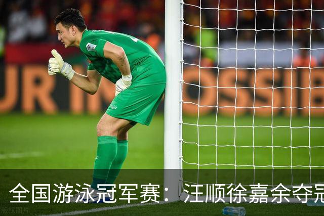 全国游泳冠军赛：汪顺徐嘉余夺冠 成绩将成亚运会选拔依据