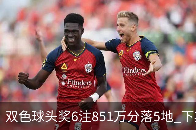 双色球头奖6注851万分落5地 下期福运奖回归